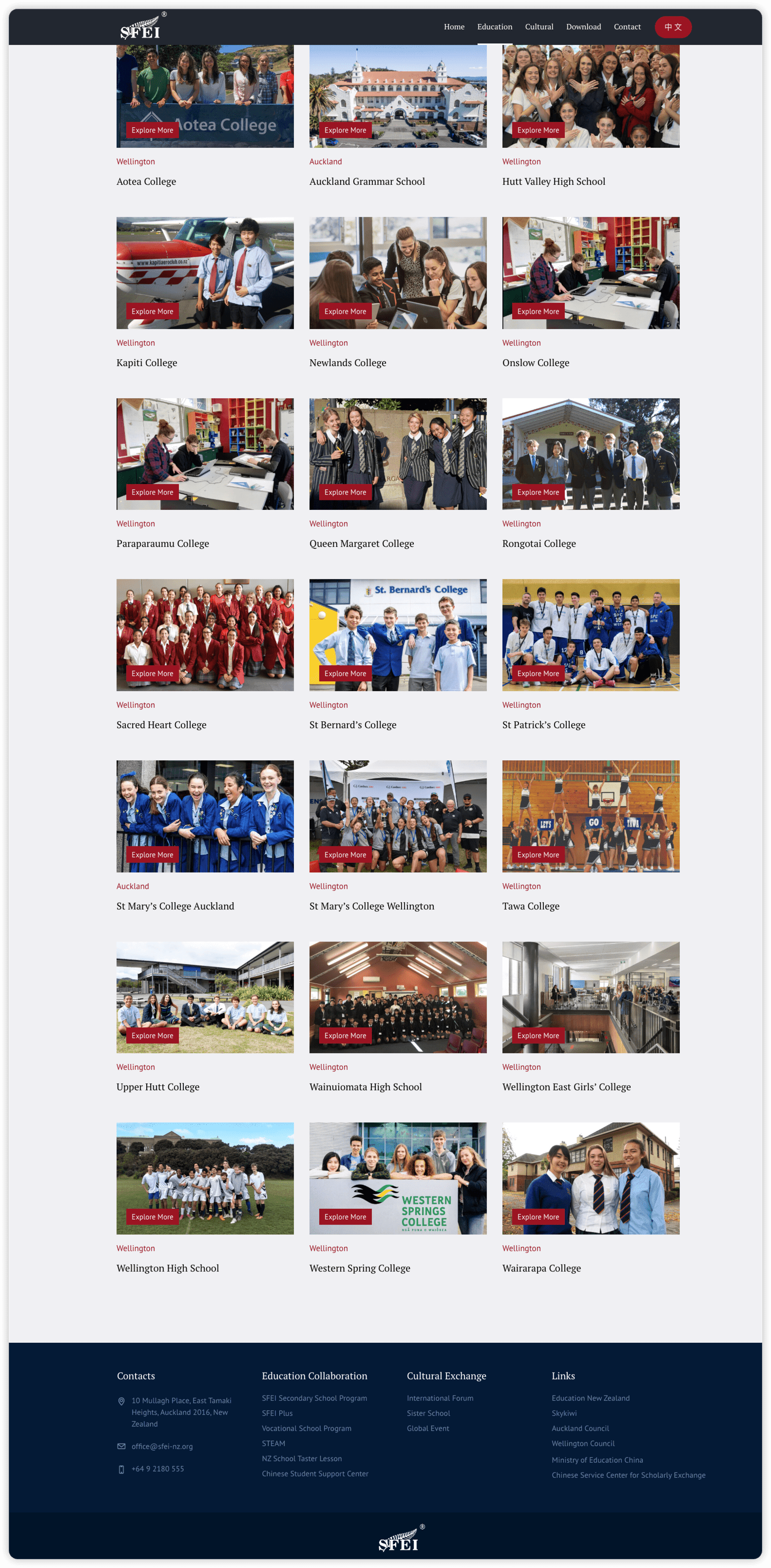 SFEI - International Education image 1