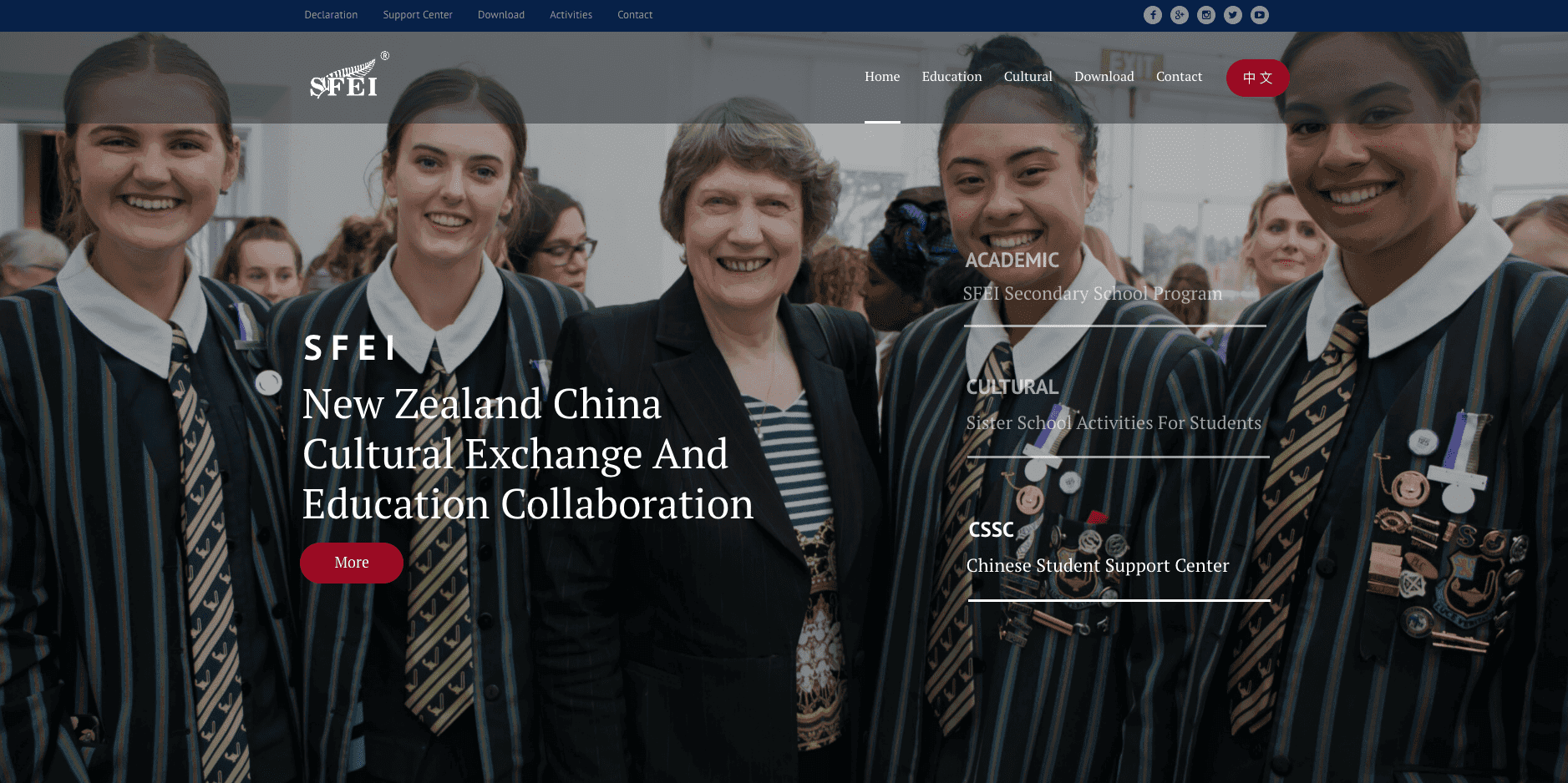 SFEI - International Education image 3