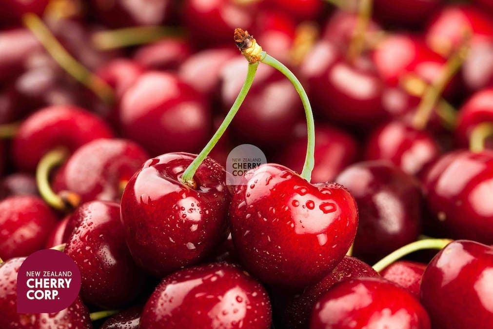 New Zealand Cherry Corp - Cross-border e-commerce